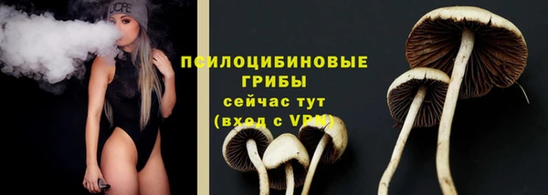 соль курить ск Алзамай