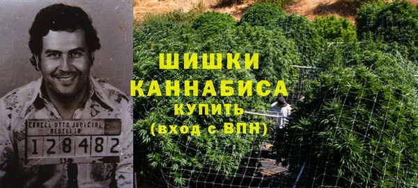 первитин Алексин