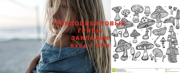 спиды Алексеевка