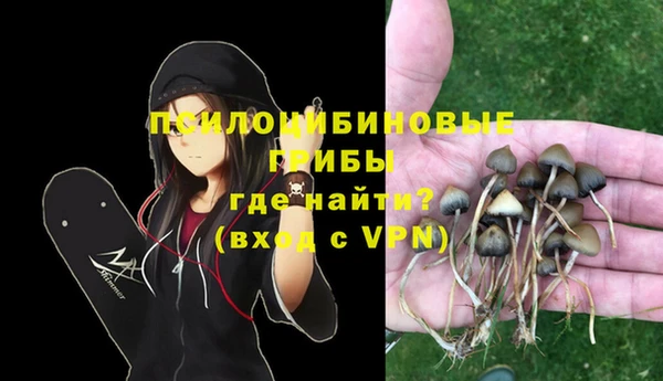 соль курить ск Алзамай