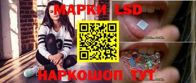 СК Краснодар