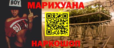 СК Краснодар
