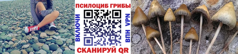 Галлюциногенные грибы Cubensis  OMG маркетплейс  Кизилюрт 