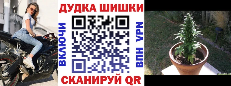 где купить наркоту  Кизилюрт  МАРИХУАНА VHQ 